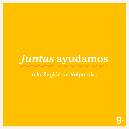 Rifas, donaciones y más: Iniciativas para ayudar a la Región de Valparaíso