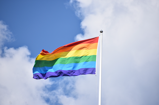 ¿Qué se conmemora el Día Internacional del Orgullo LGBTQIA+?