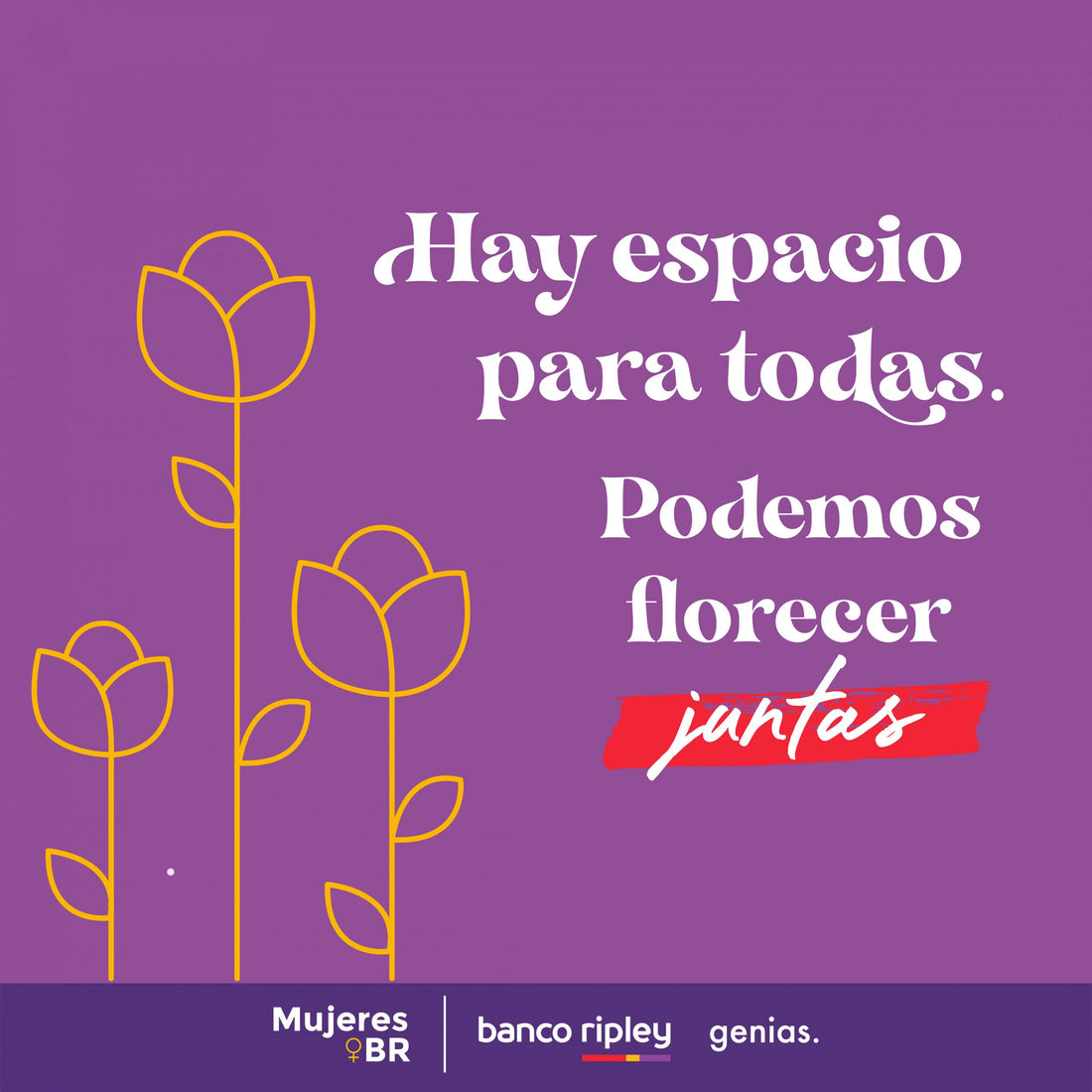 COMUNIDAD Y SORORIDAD: CONVERSATORIO CON MUJERES BR
