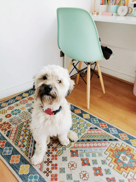 ¡MASCOTAS EN EL TRABAJO! BENEFICIOS DE UNA OFICINA PET FRIENDLY