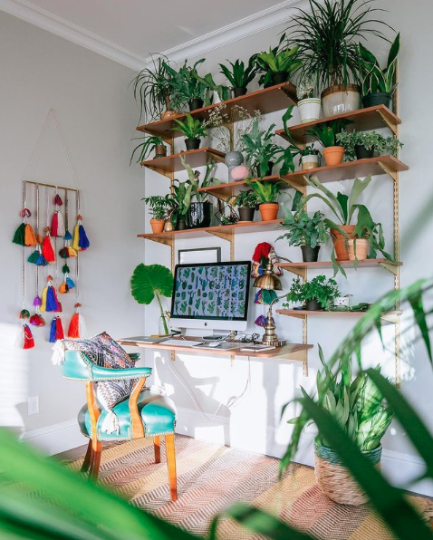 5 PLANTAS PERFECTAS PARA TU ESCRITORIO