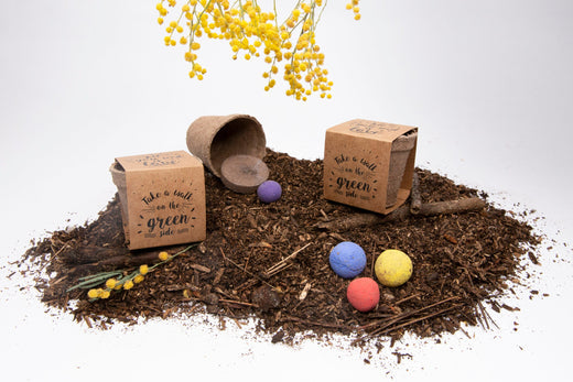 Conoce a: Oh! Seeds